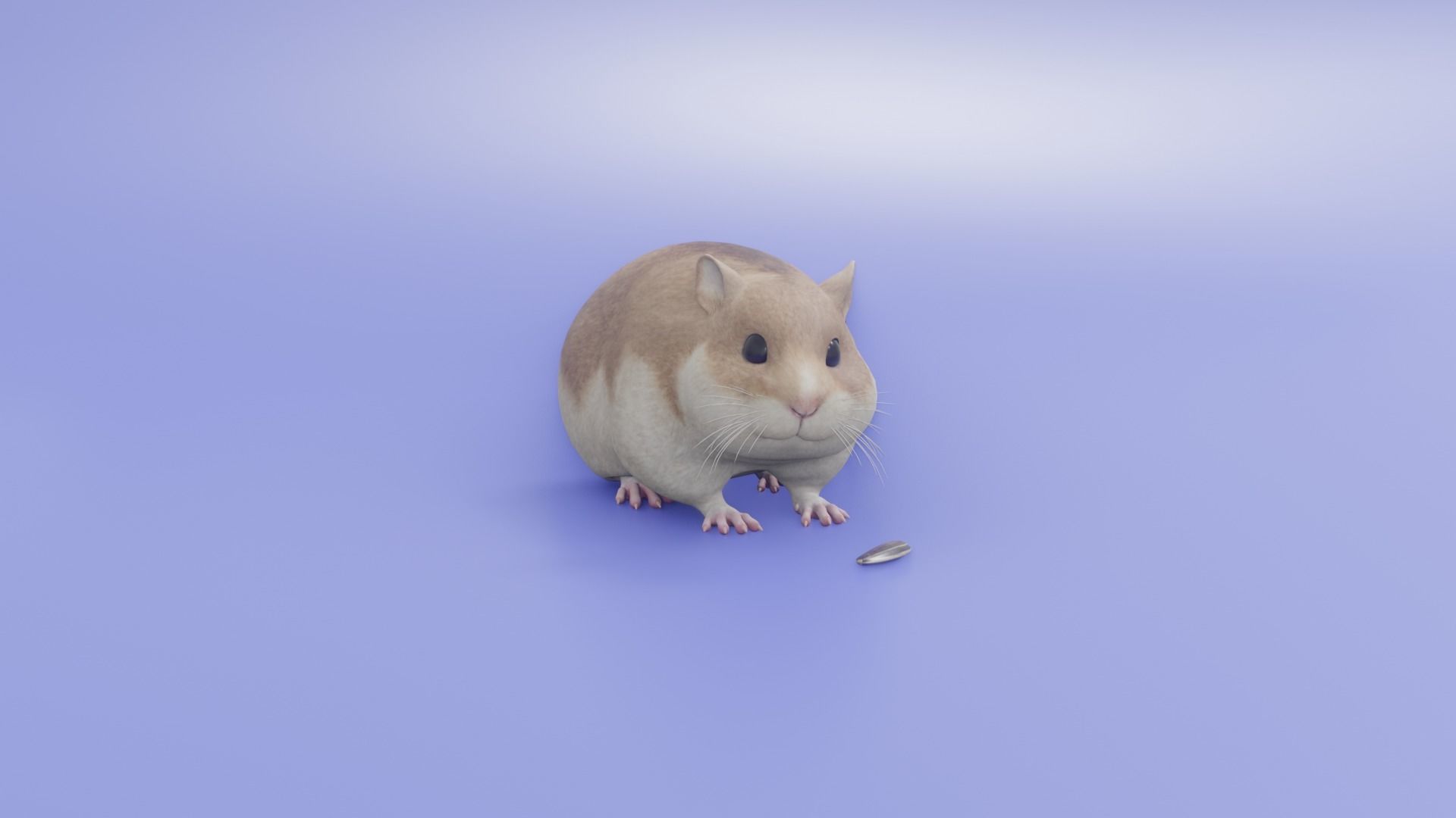 Hamster 3D animated model 3D model_3