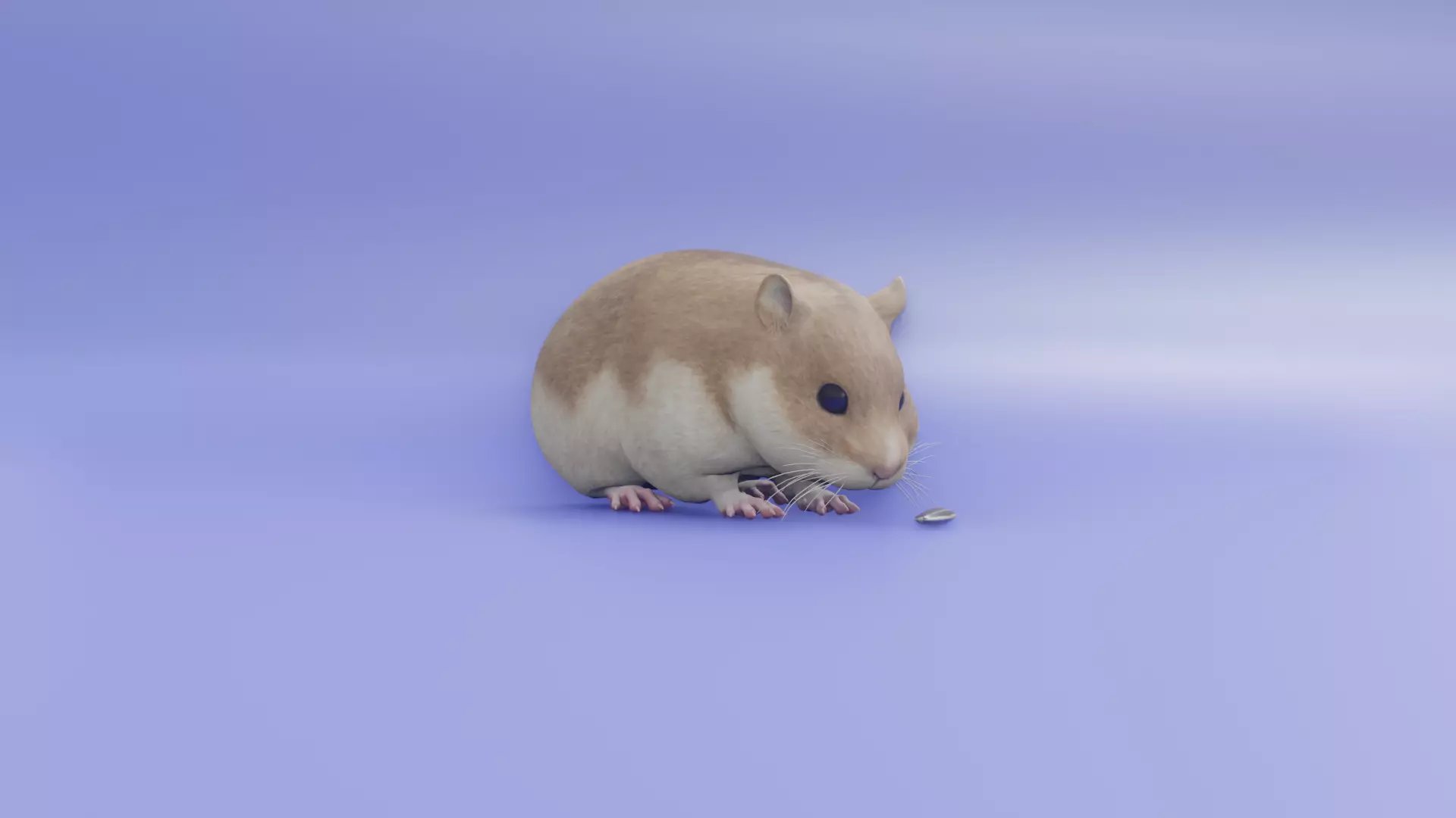 Hamster 3D animated model 3D model_0