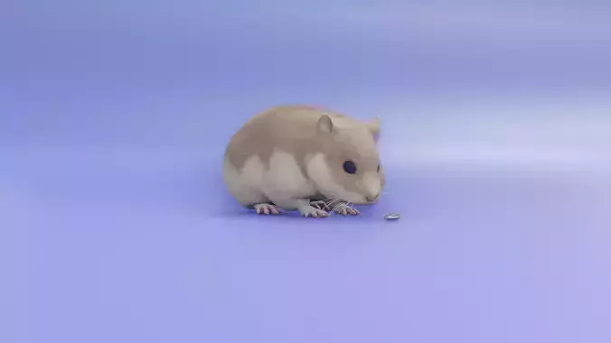 Hamster 3D animated model 3D model