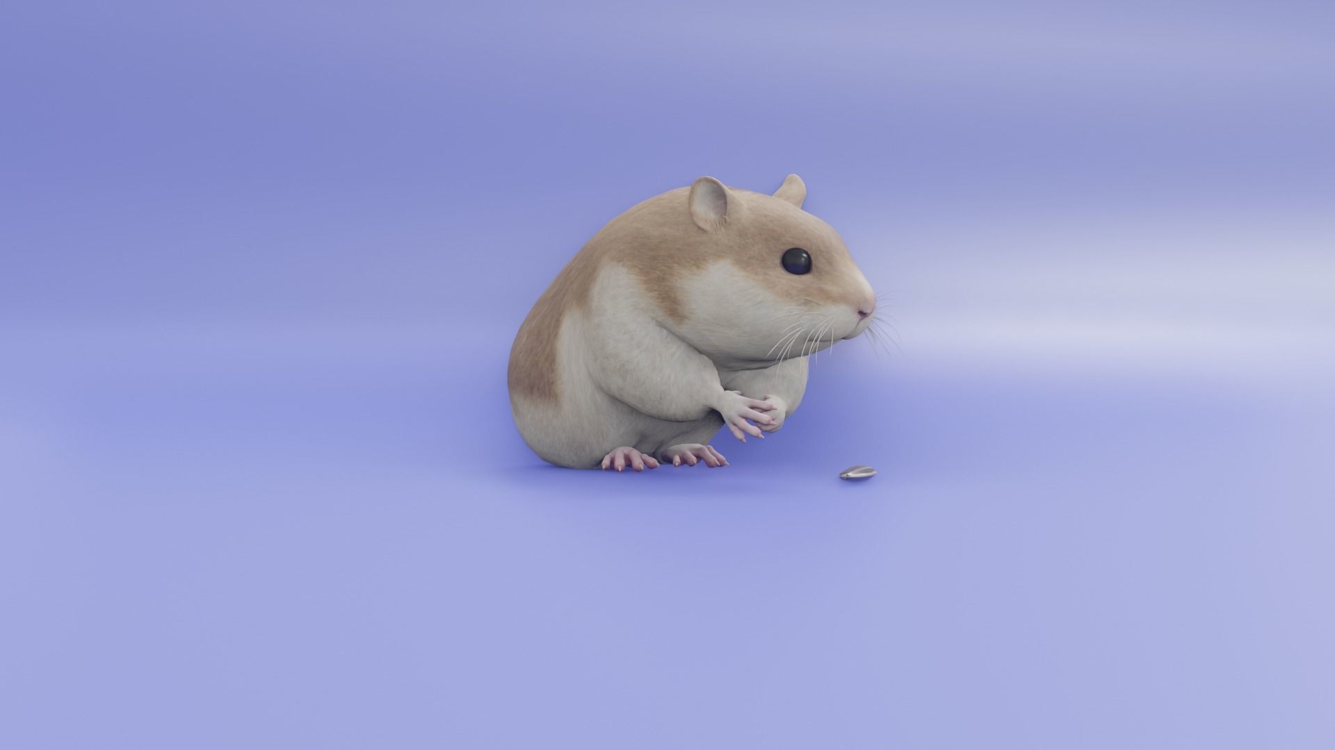 Hamster 3D animated model 3D model_1