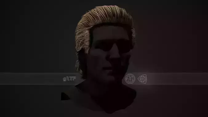 Male Hair Cards Style 1 - Slicked Back Low-poly 3D model