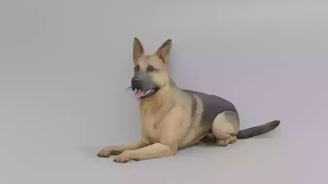 GermanShepherd 3D animated 3D model