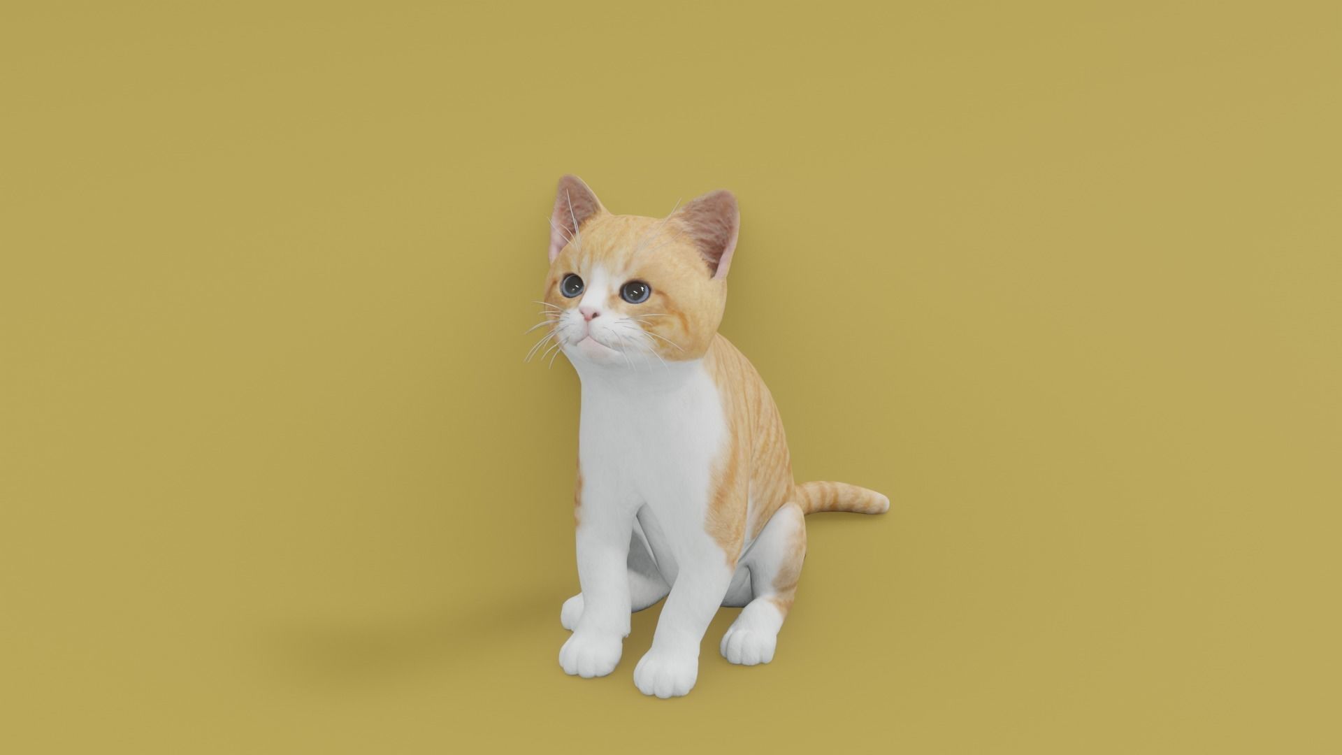 Kitten animated 3D 3D model_2
