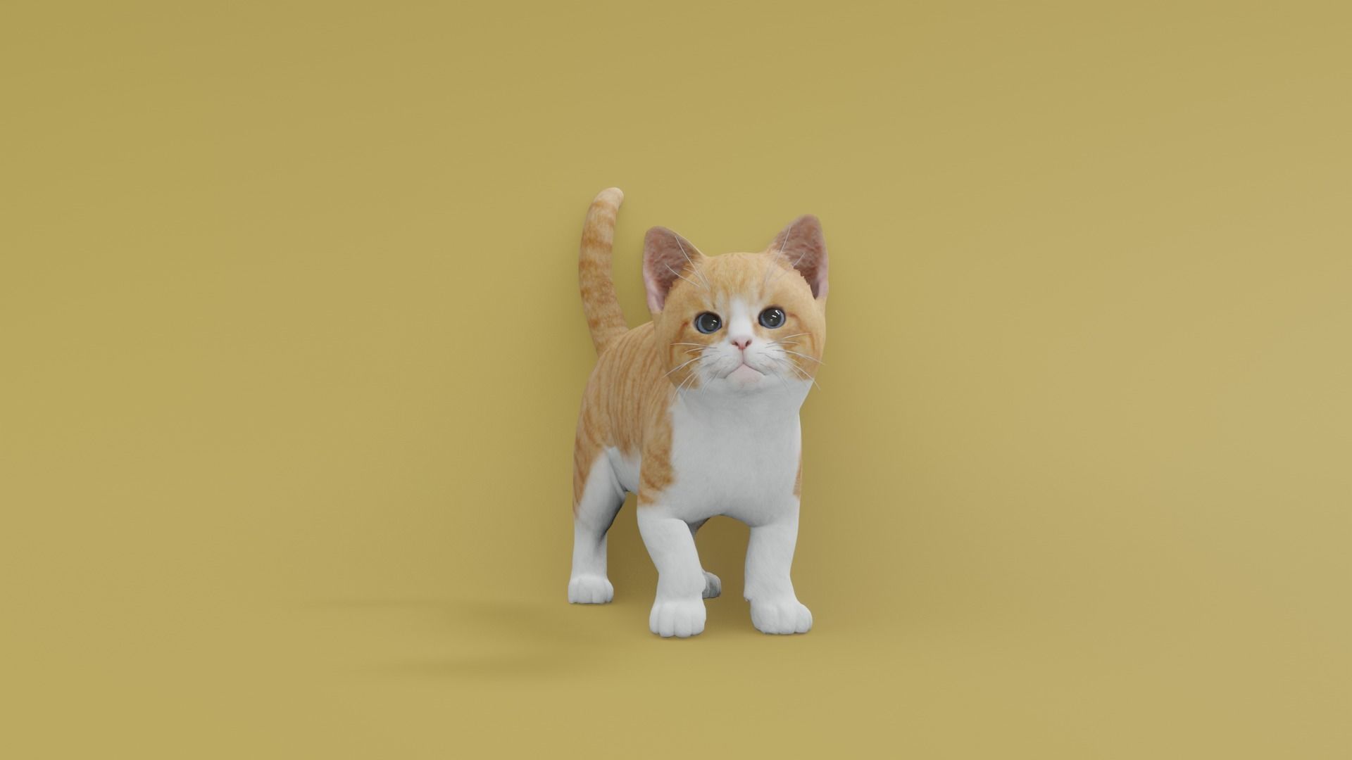 Kitten animated 3D 3D model_4