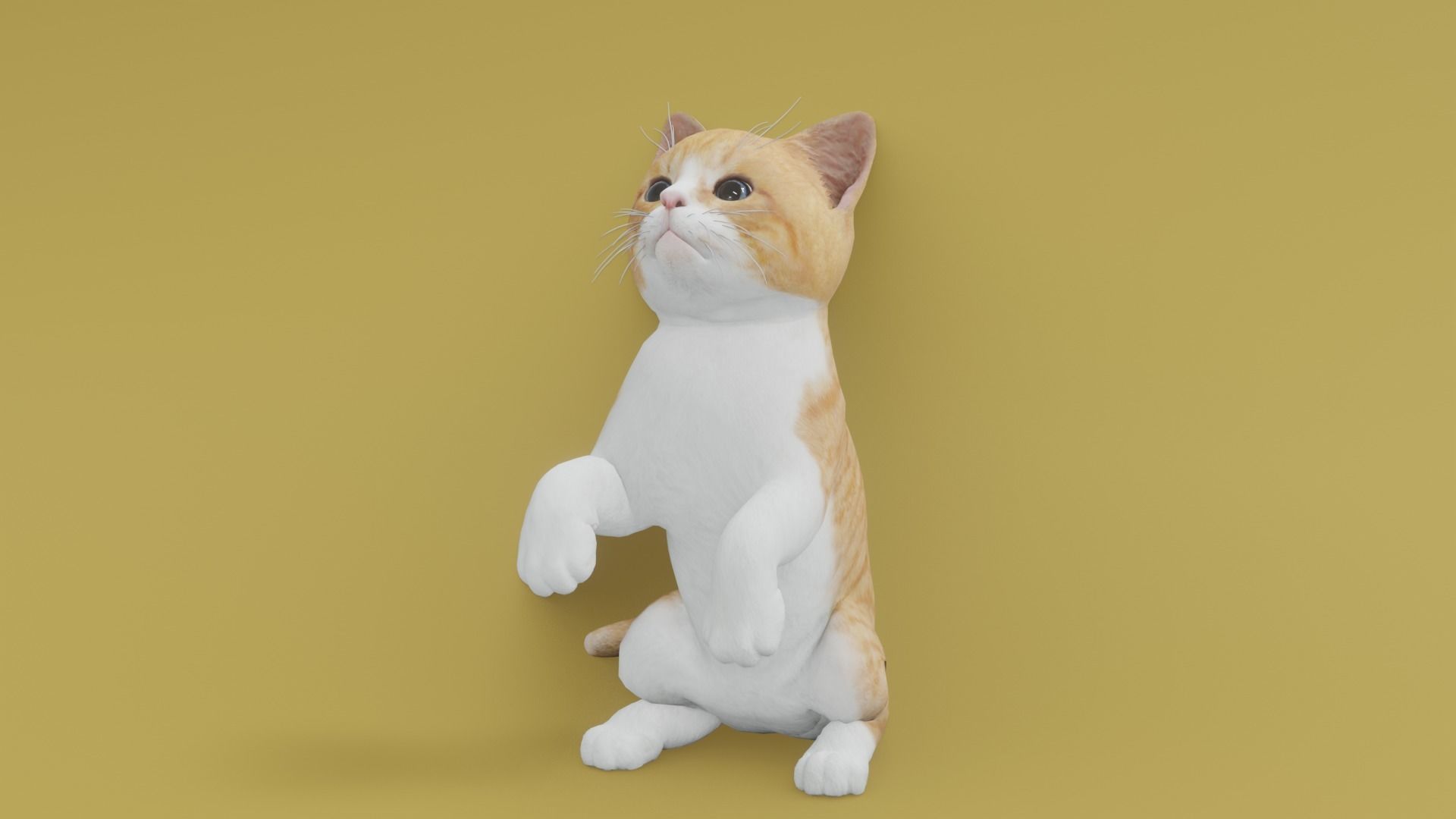 Kitten animated 3D 3D model_1