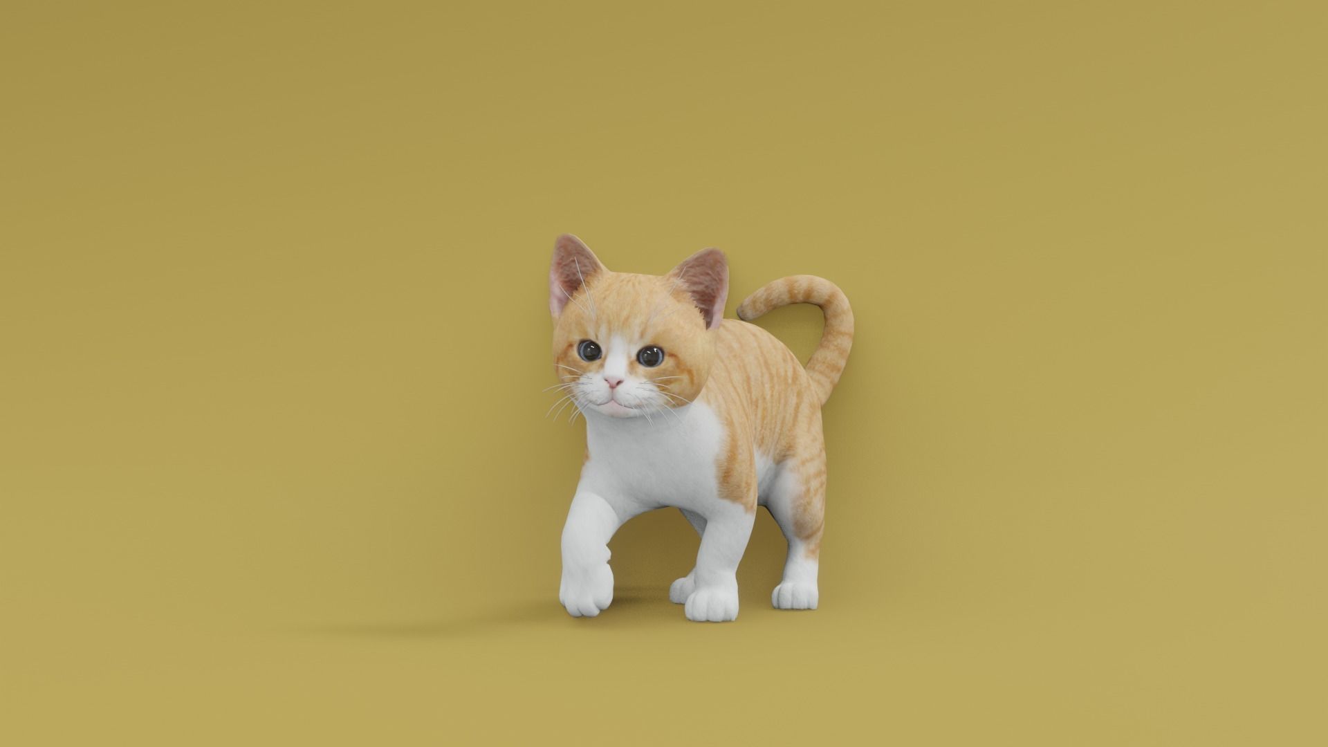 Kitten animated 3D 3D model_3