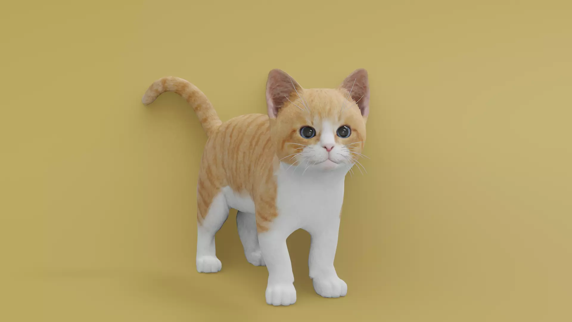 Kitten animated 3D 3D model_0