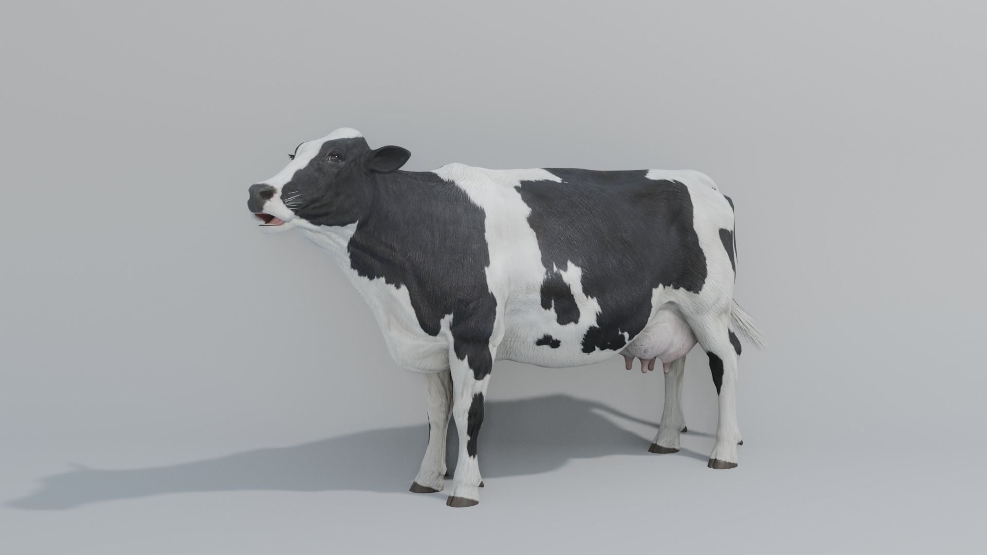 MilkCow animated 3D 3D model_3