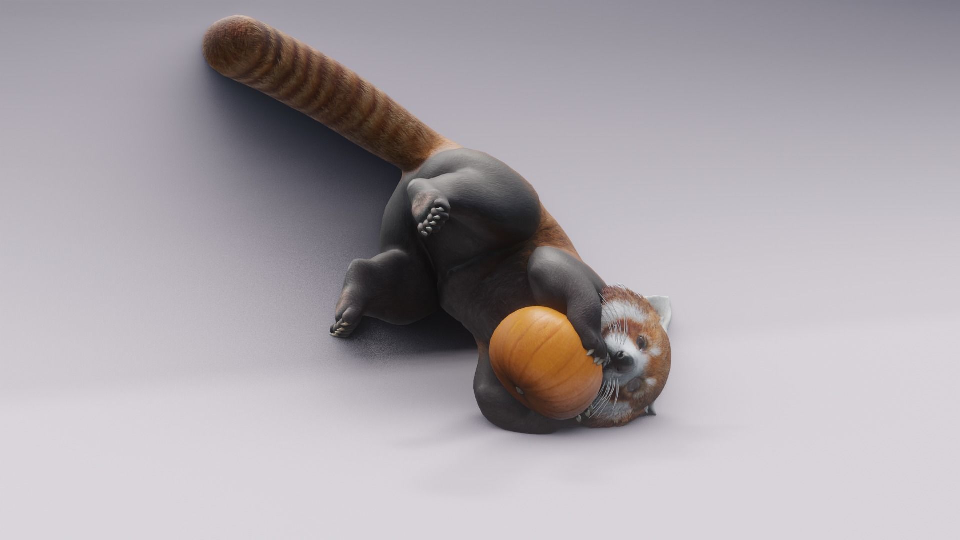 RedPanda animated 3D 3D model_2