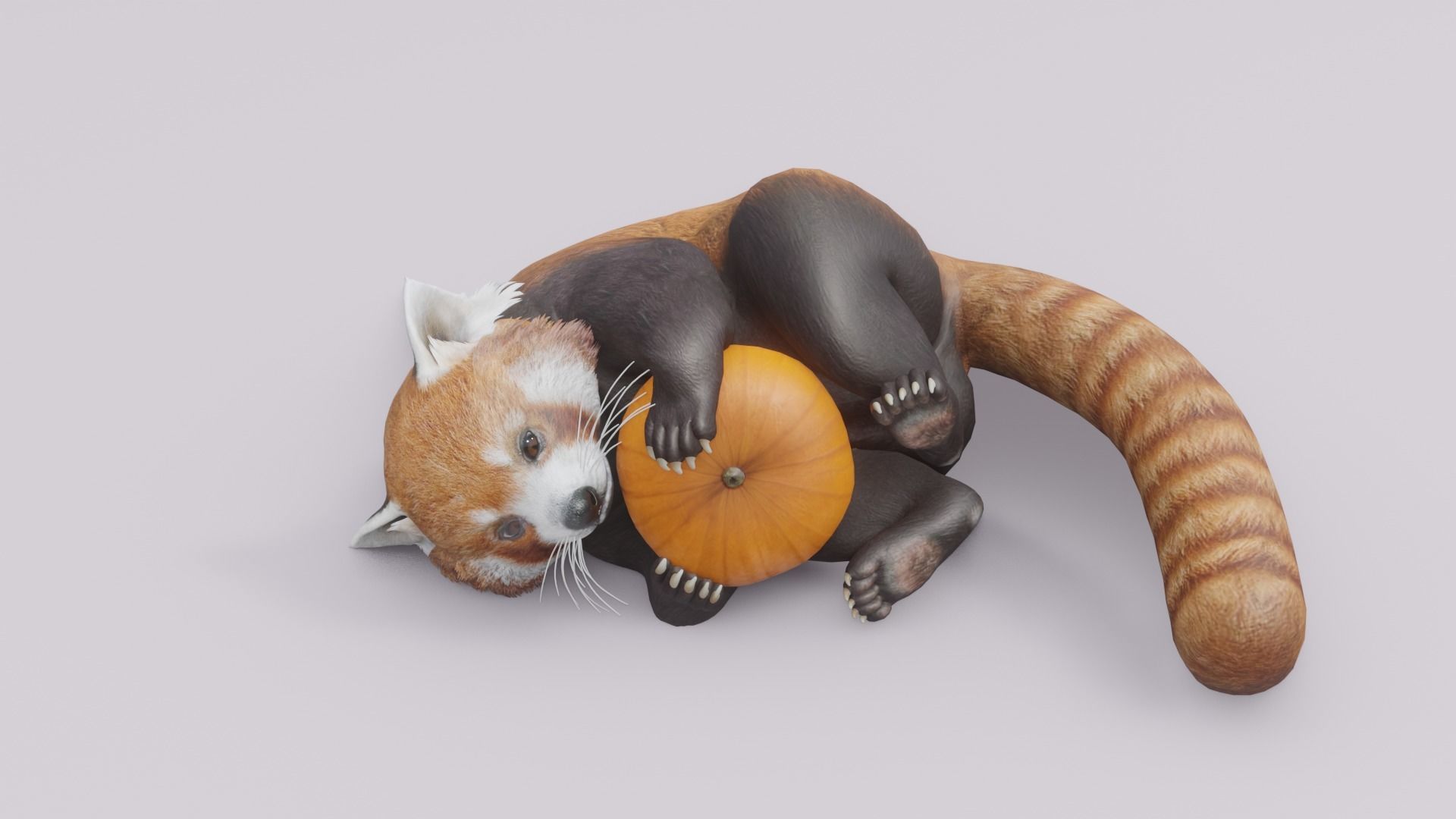 RedPanda animated 3D 3D model_4
