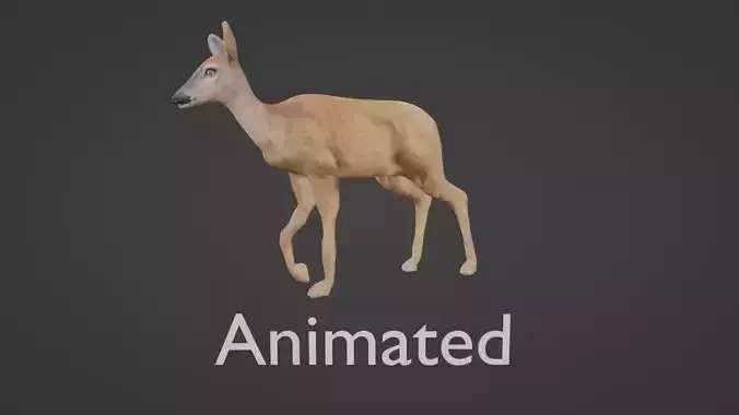 white doe animated Low-poly 3D model