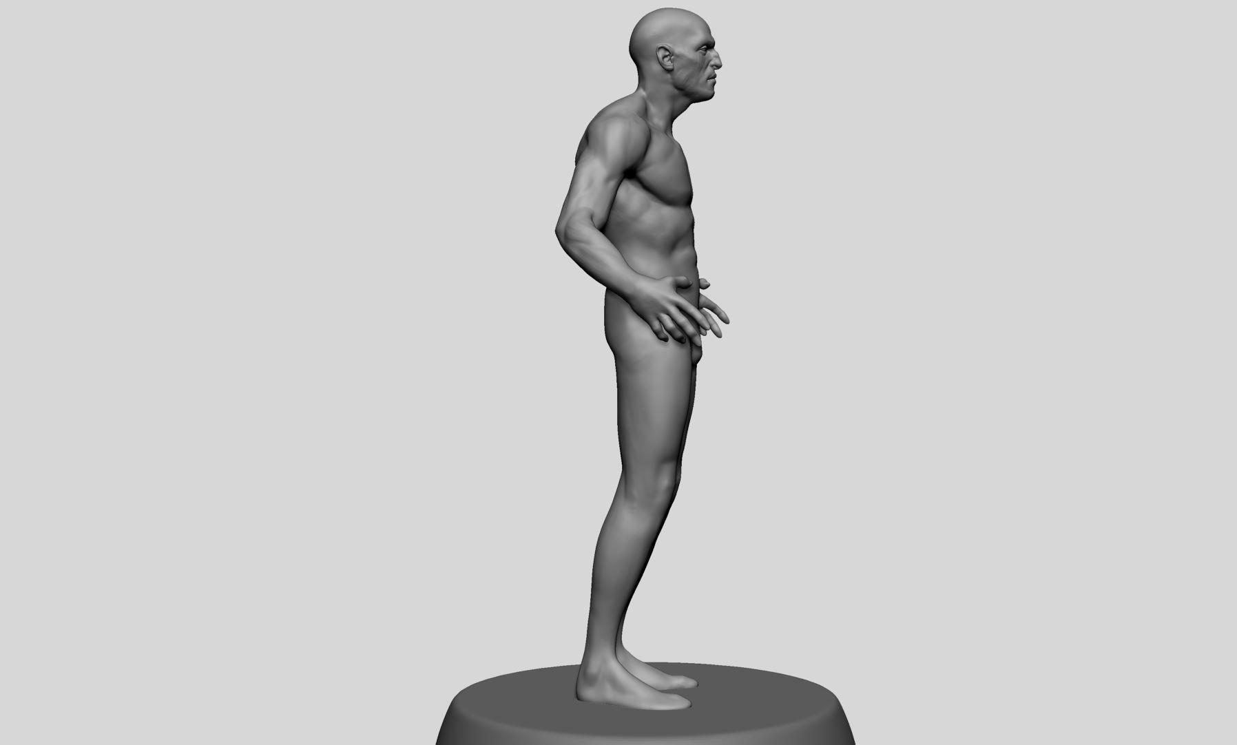 Male Anatomy v10 3D model_2