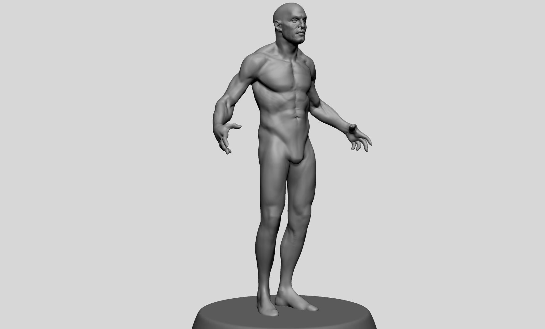 Male Anatomy v10 3D model_1