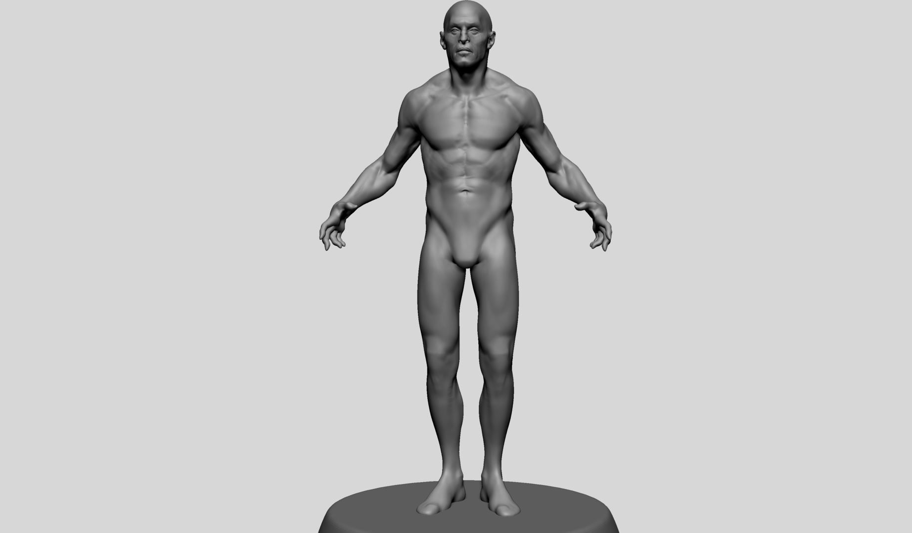 Male Anatomy v10 3D model_7