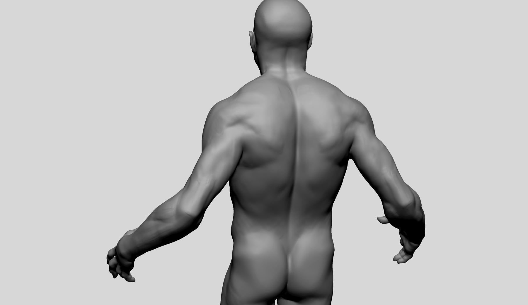 Male Anatomy v10 3D model_10