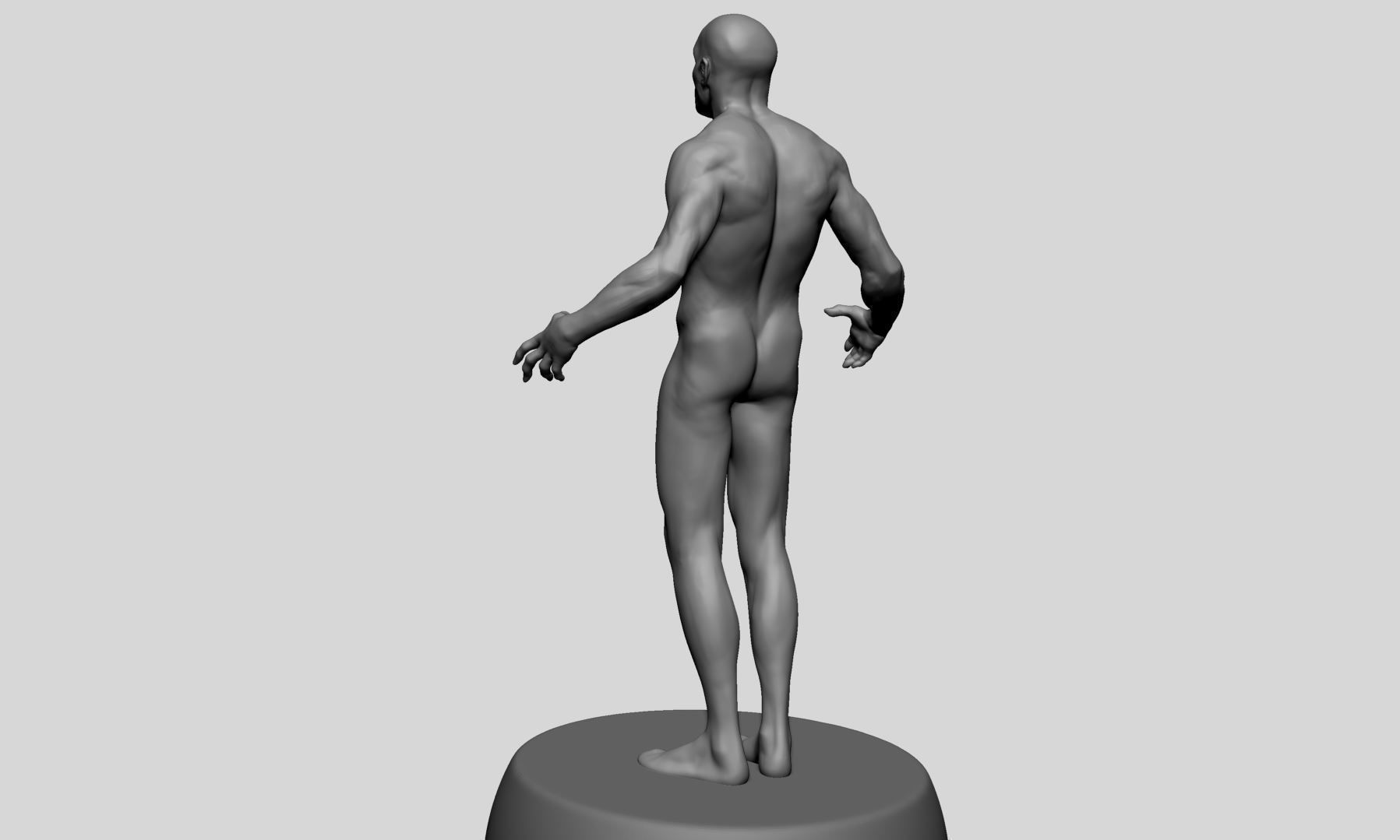 Male Anatomy v10 3D model_5