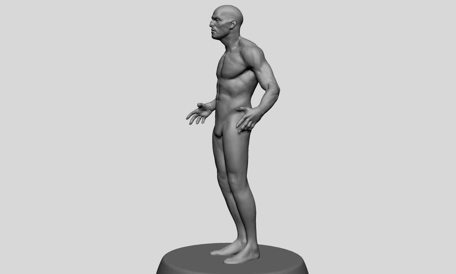 Male Anatomy v10 3D model_6