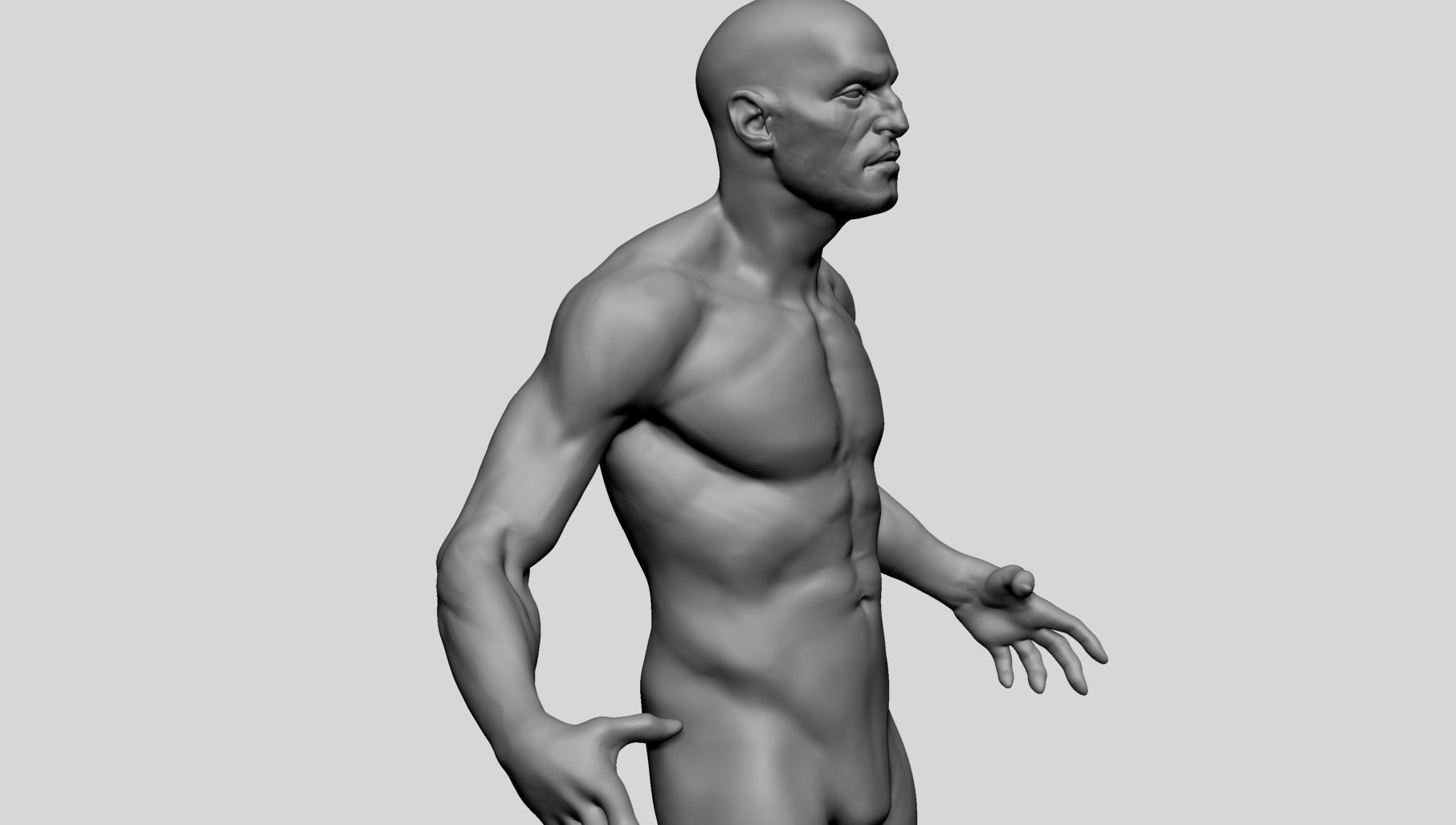 Male Anatomy v10 3D model_9