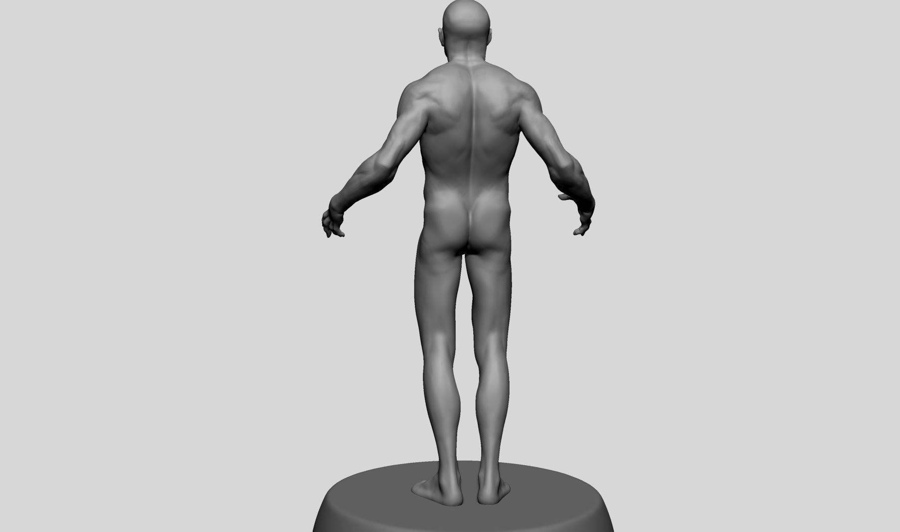 Male Anatomy v10 3D model_4
