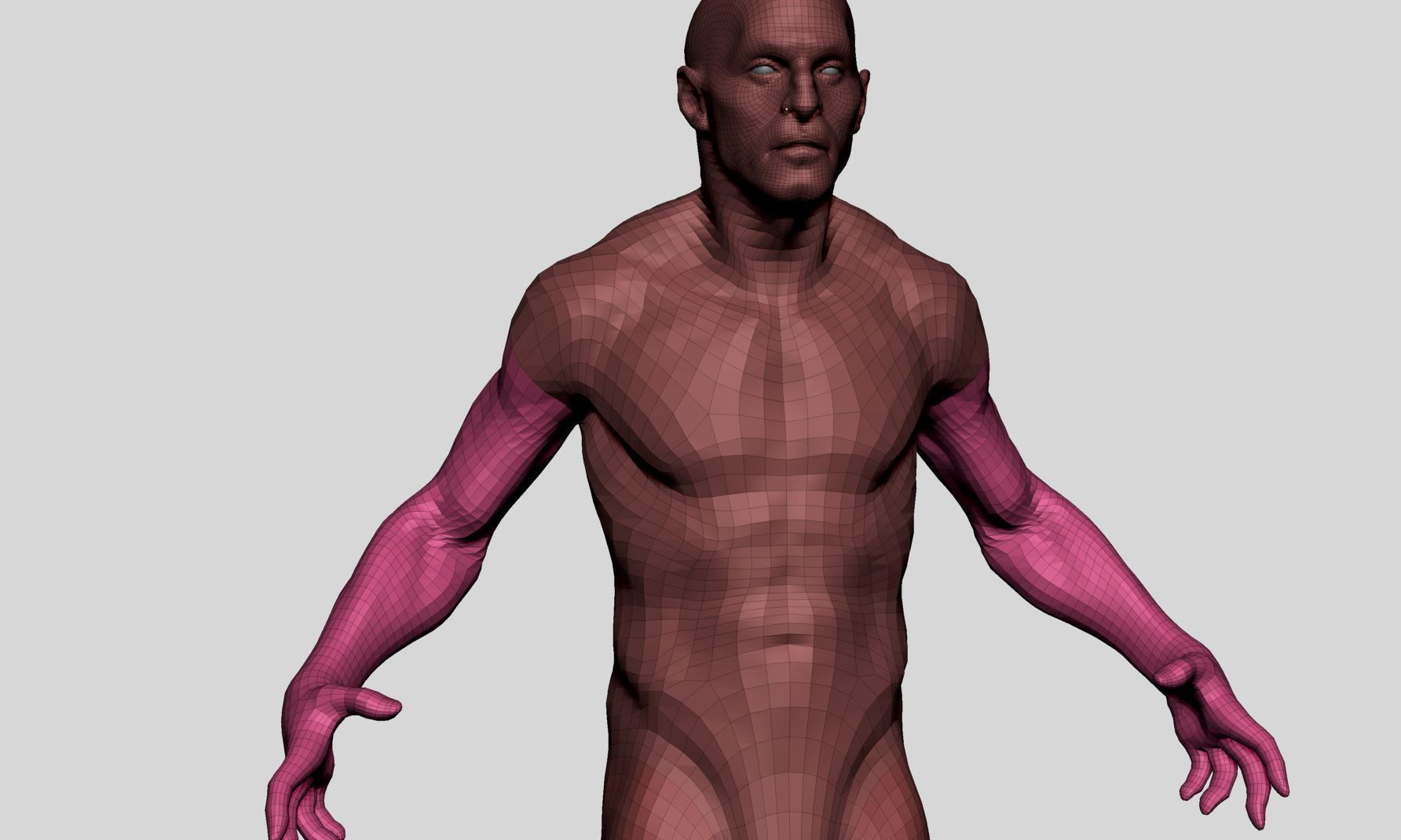 Male Anatomy v10 3D model_11