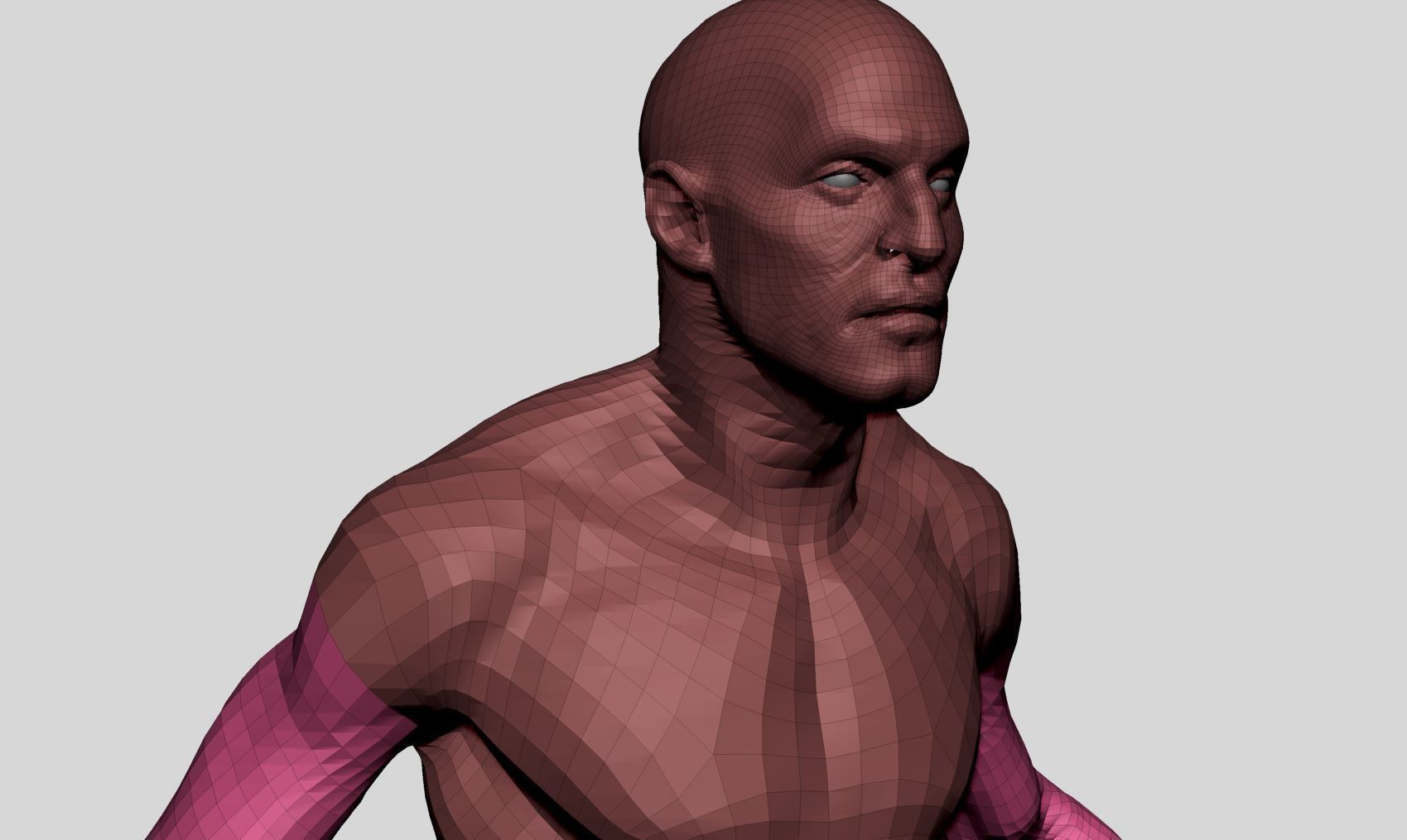 Male Anatomy v10 3D model_12