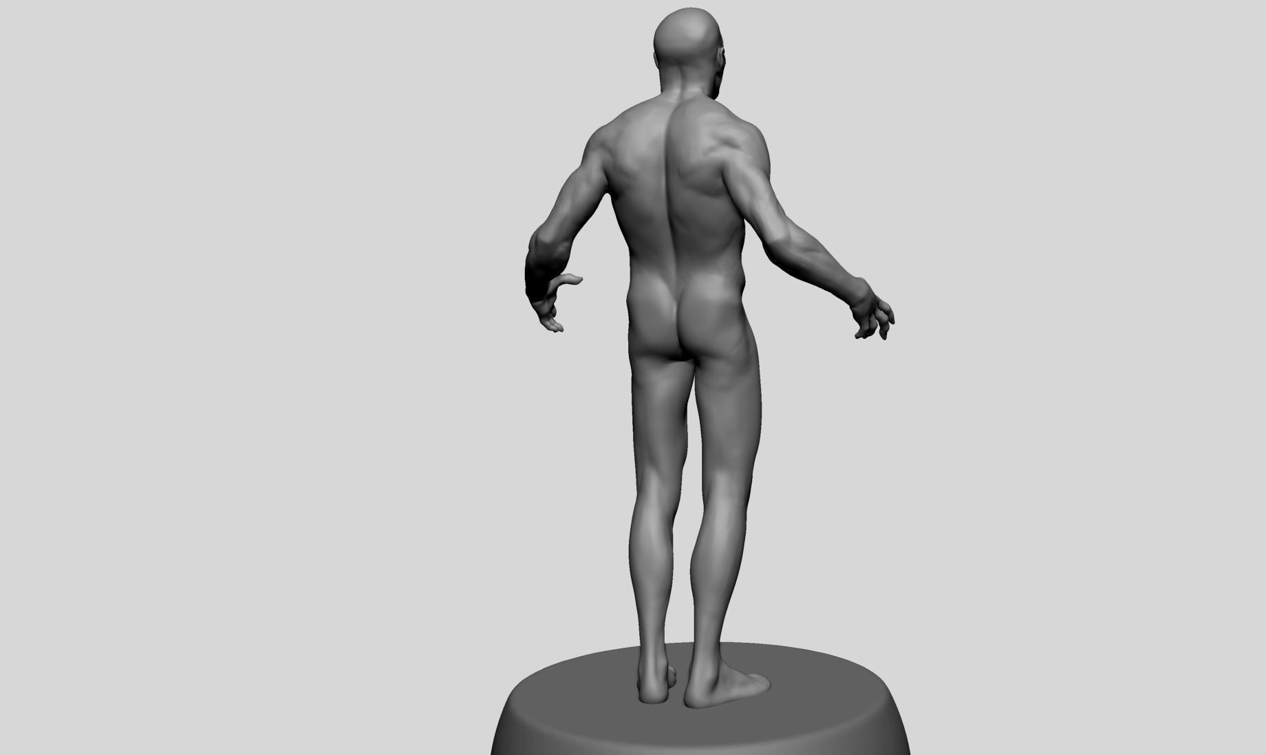 Male Anatomy v10 3D model_3