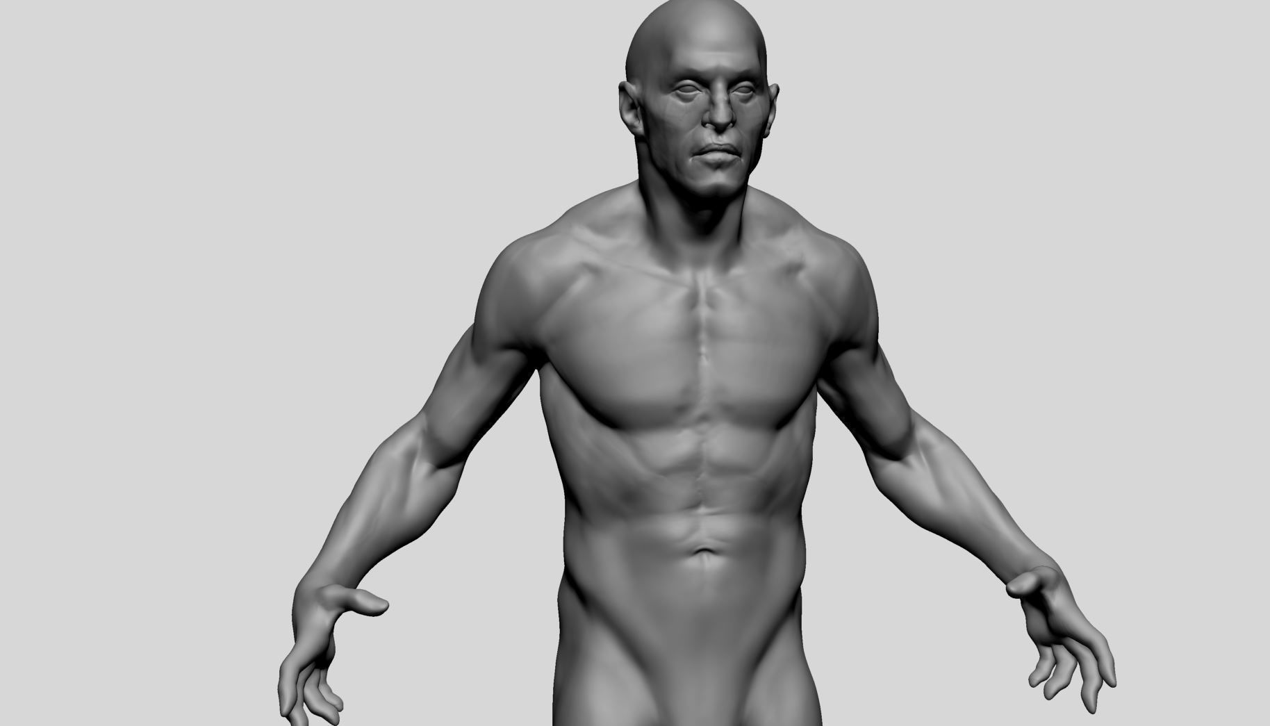 Male Anatomy v10 3D model_8