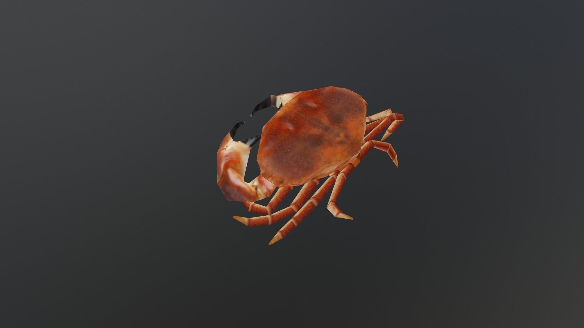 Crab 3D Low-poly 3D model_4
