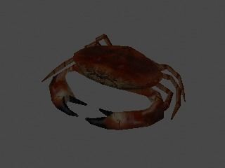 Crab 3D Low-poly 3D model_6