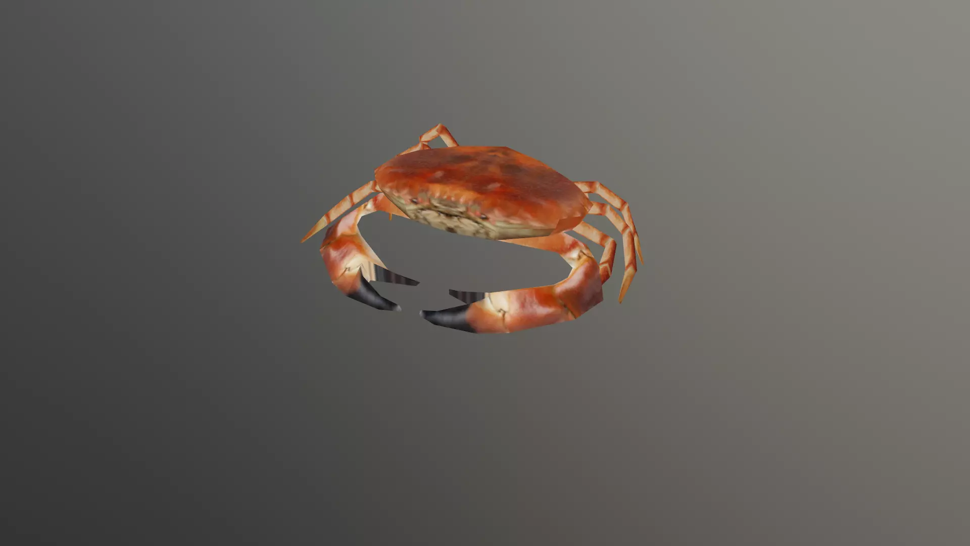 Crab 3D Low-poly 3D model_0
