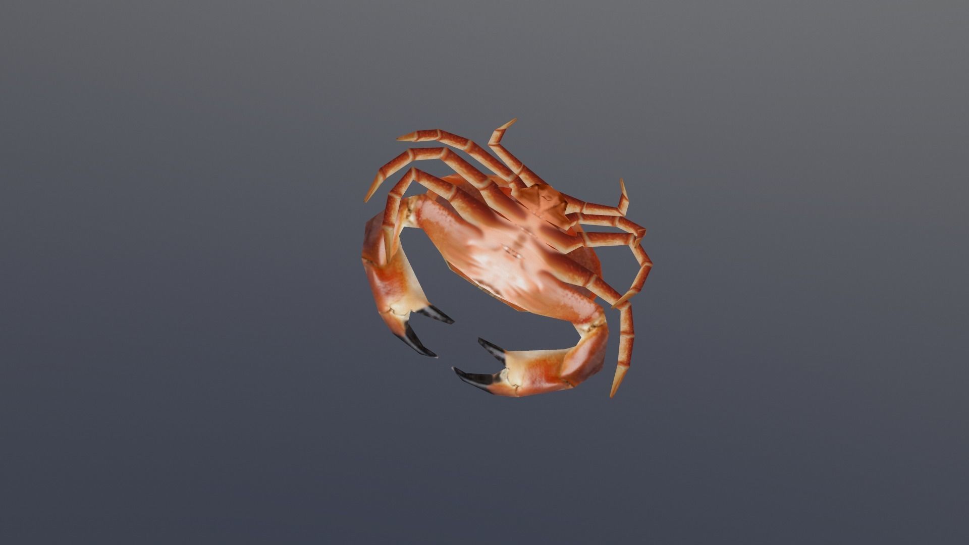 Crab 3D Low-poly 3D model_7