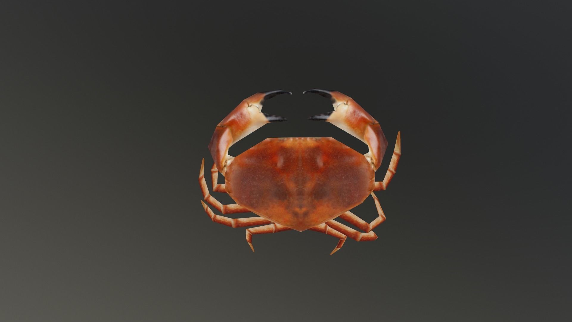 Crab 3D Low-poly 3D model_2