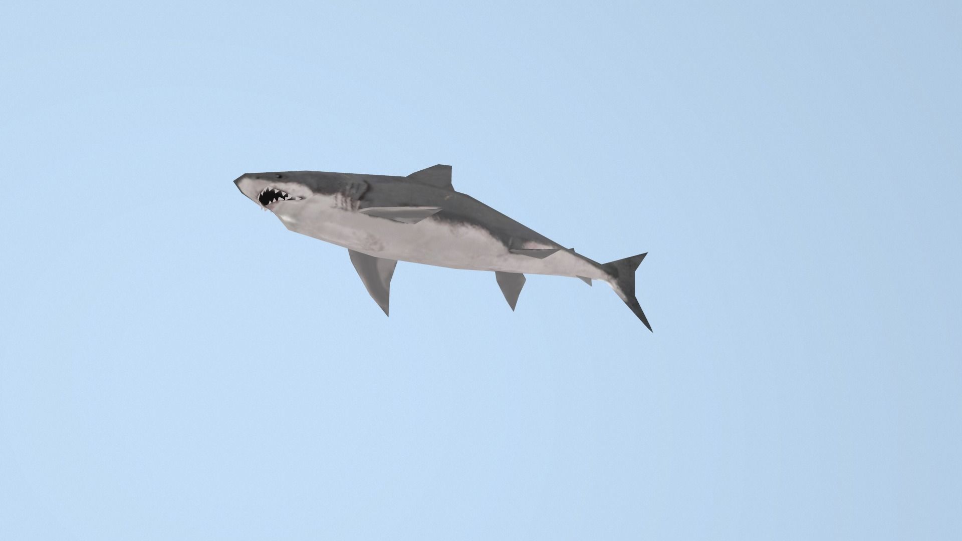Shark great Low-poly 3D model_4