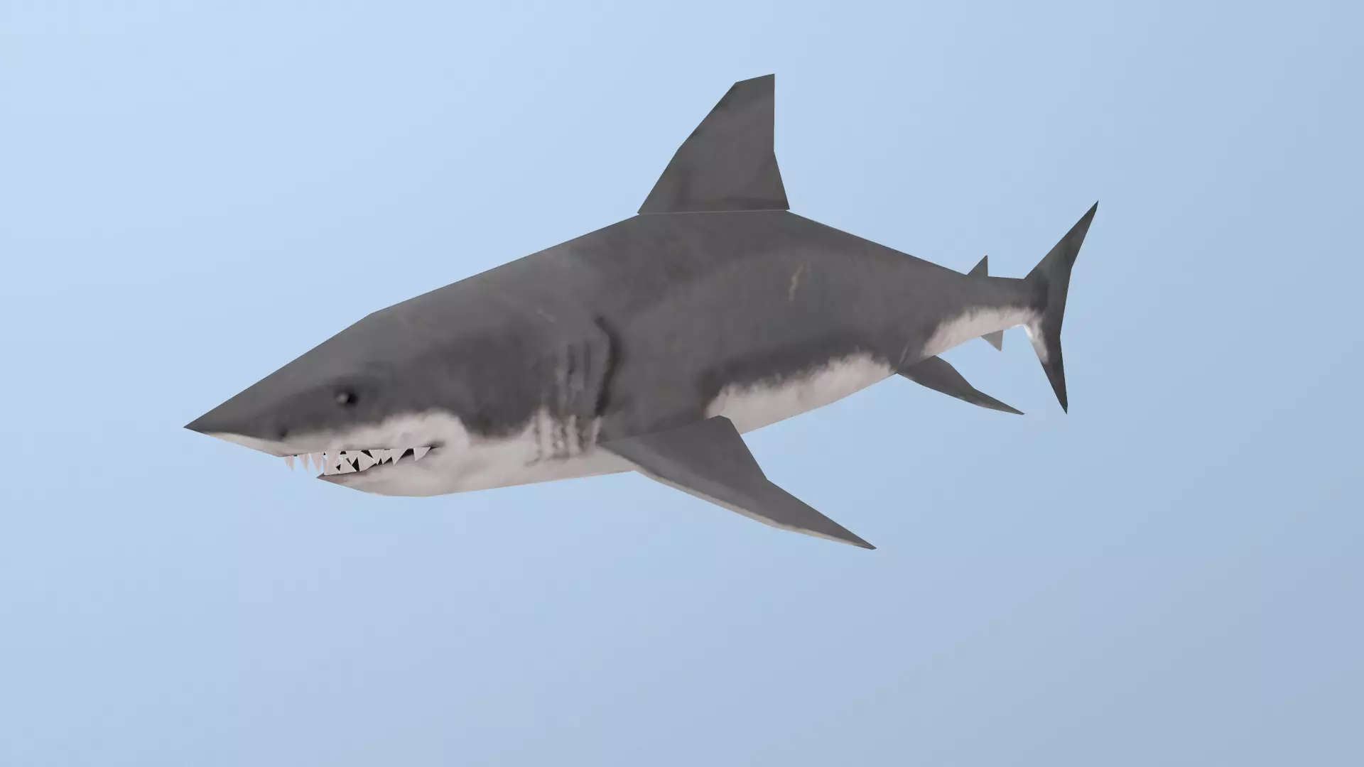 Shark great Low-poly 3D model_0