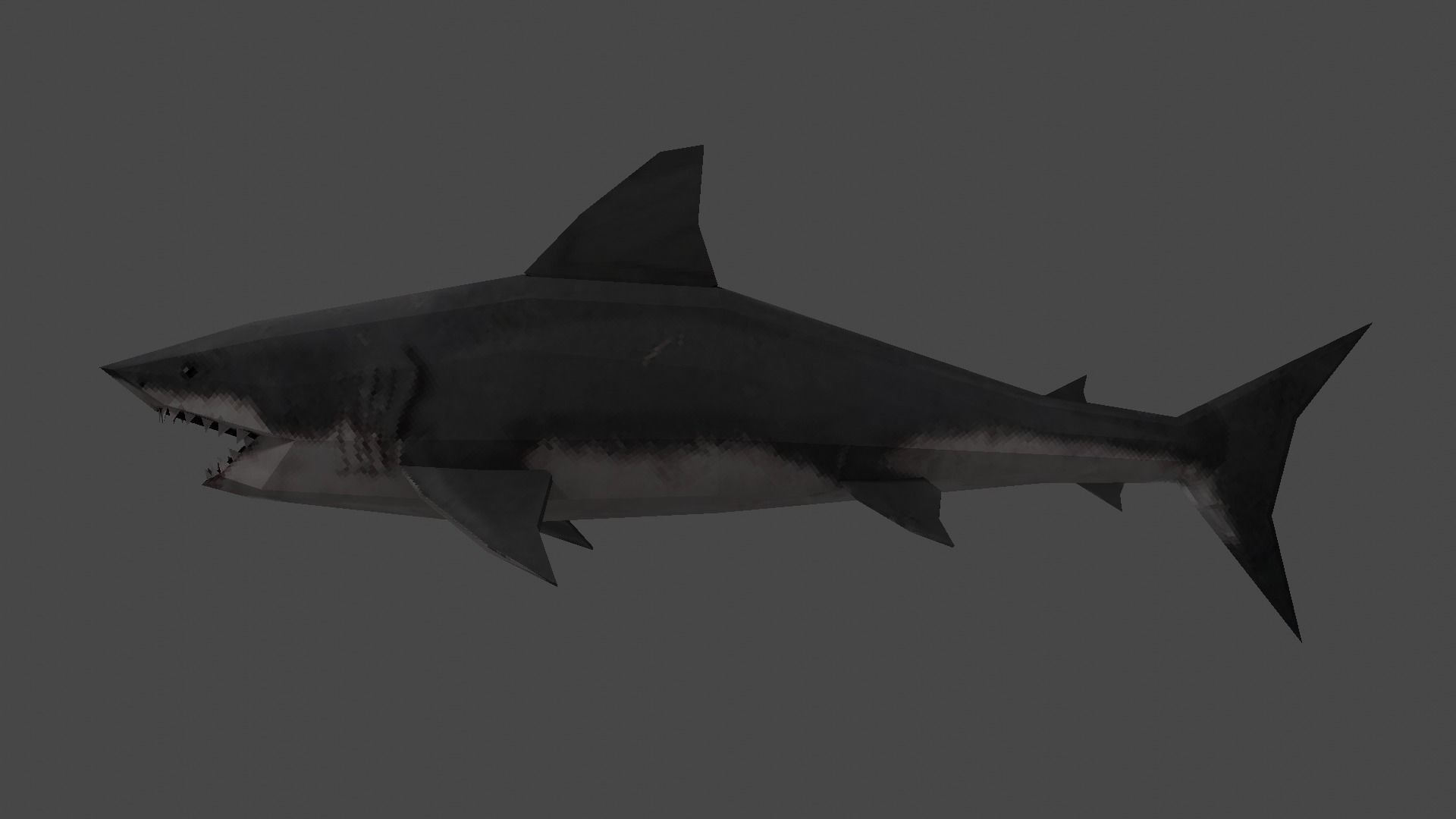 Shark great Low-poly 3D model_3