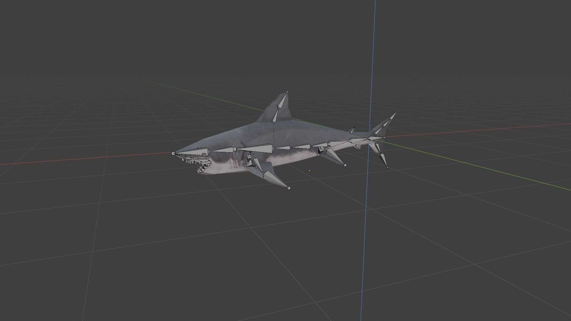 Shark great Low-poly 3D model_5