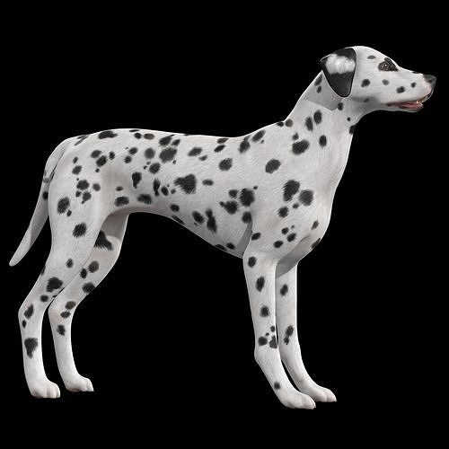 Dalmatian Dog  Low-poly 3D model