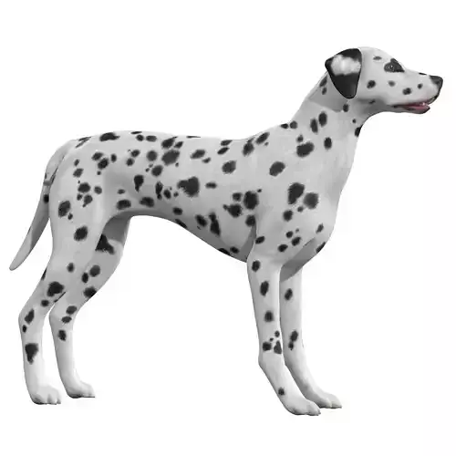 Dalmatian Dog  Low-poly 3D model