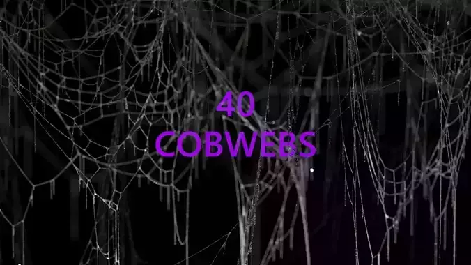 40 High Detailed COBWEBS 3D model