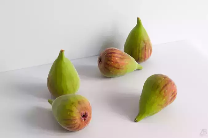 Fig   3D model