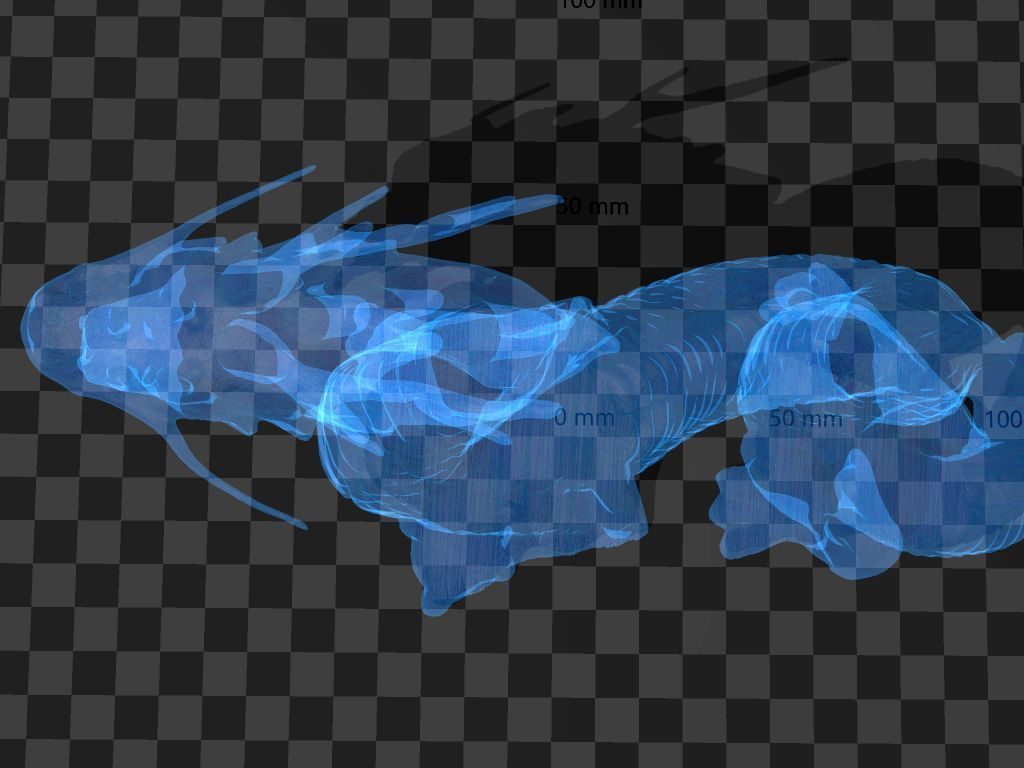 chinese dragon - long 3D print model_11