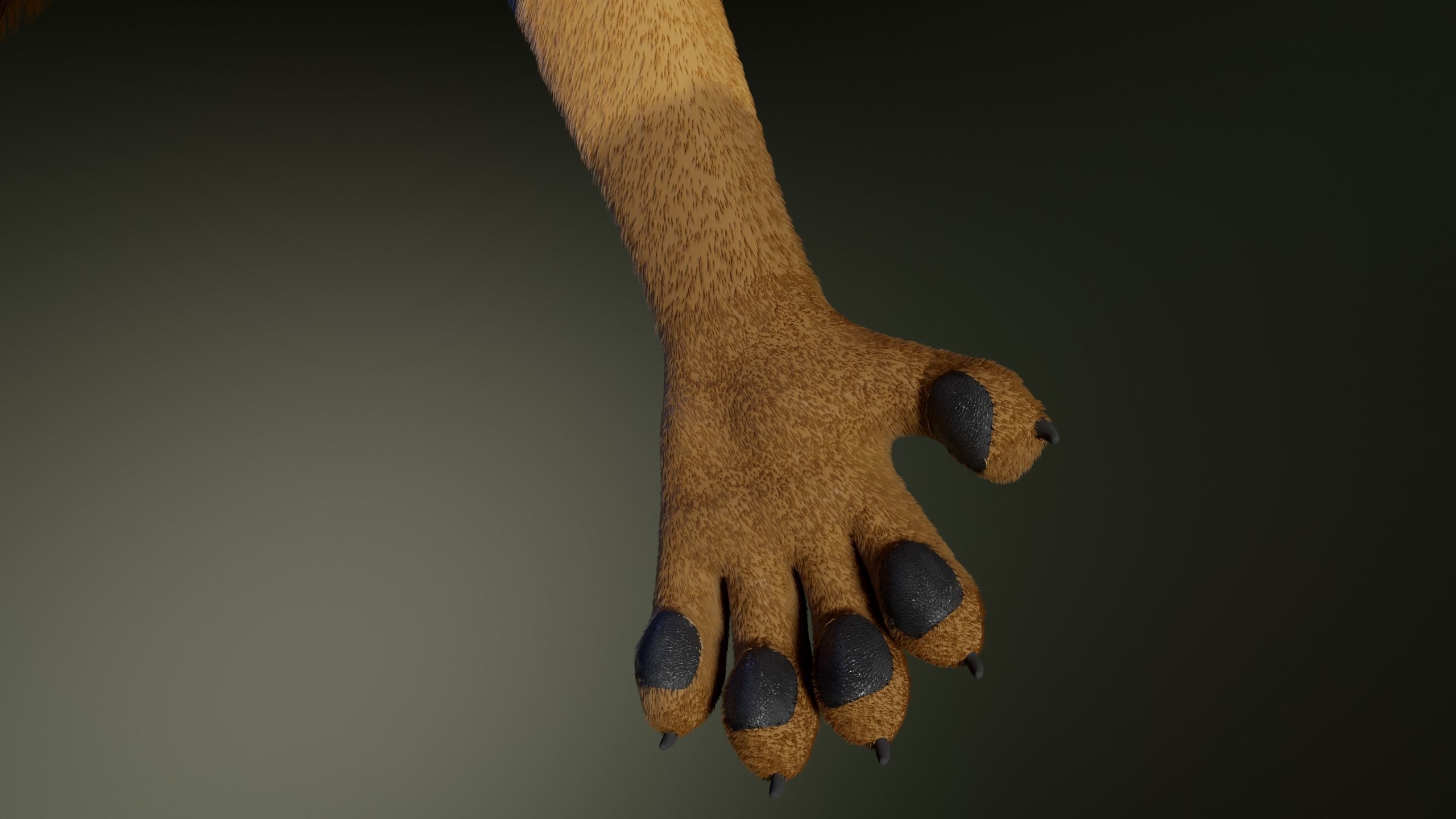 Deimos Anthro Tiger 3D model_12