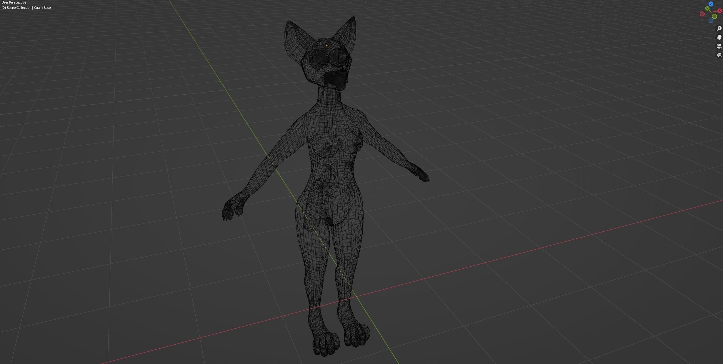 Yara Anthro Fox 3D model_38