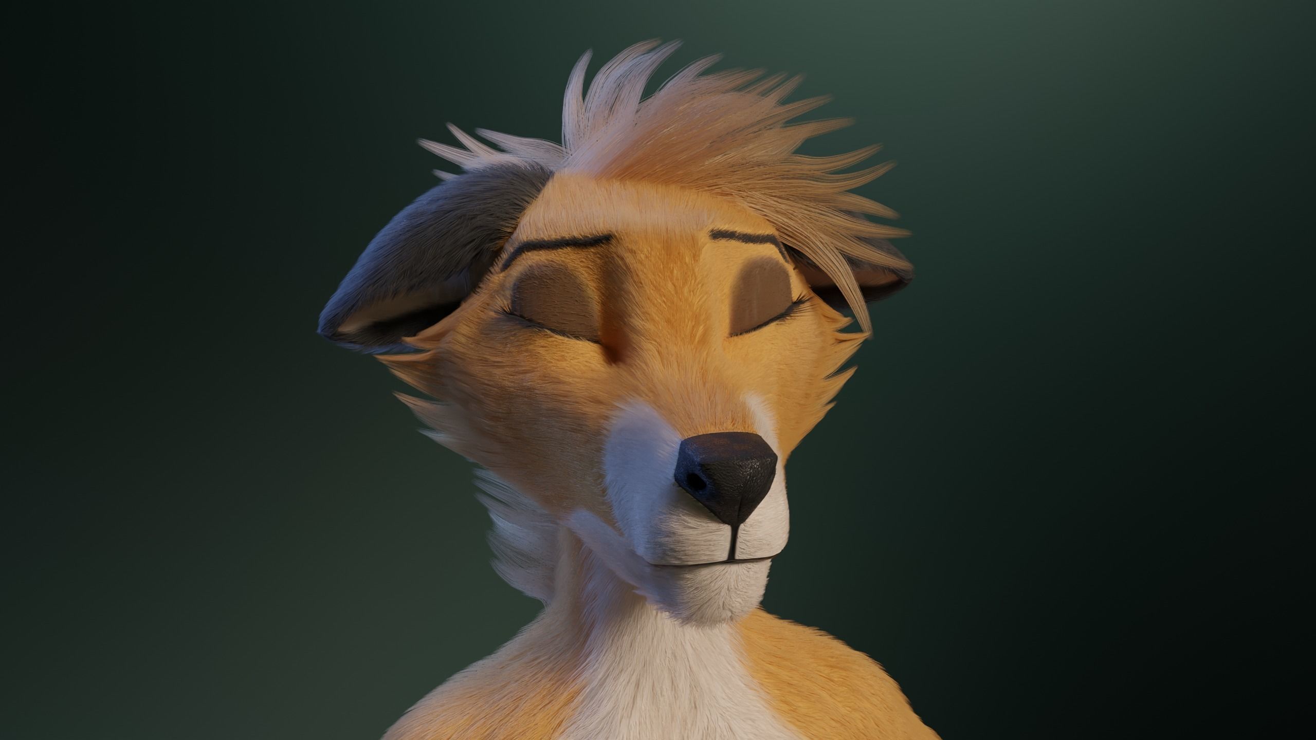 Yara Anthro Fox 3D model_34