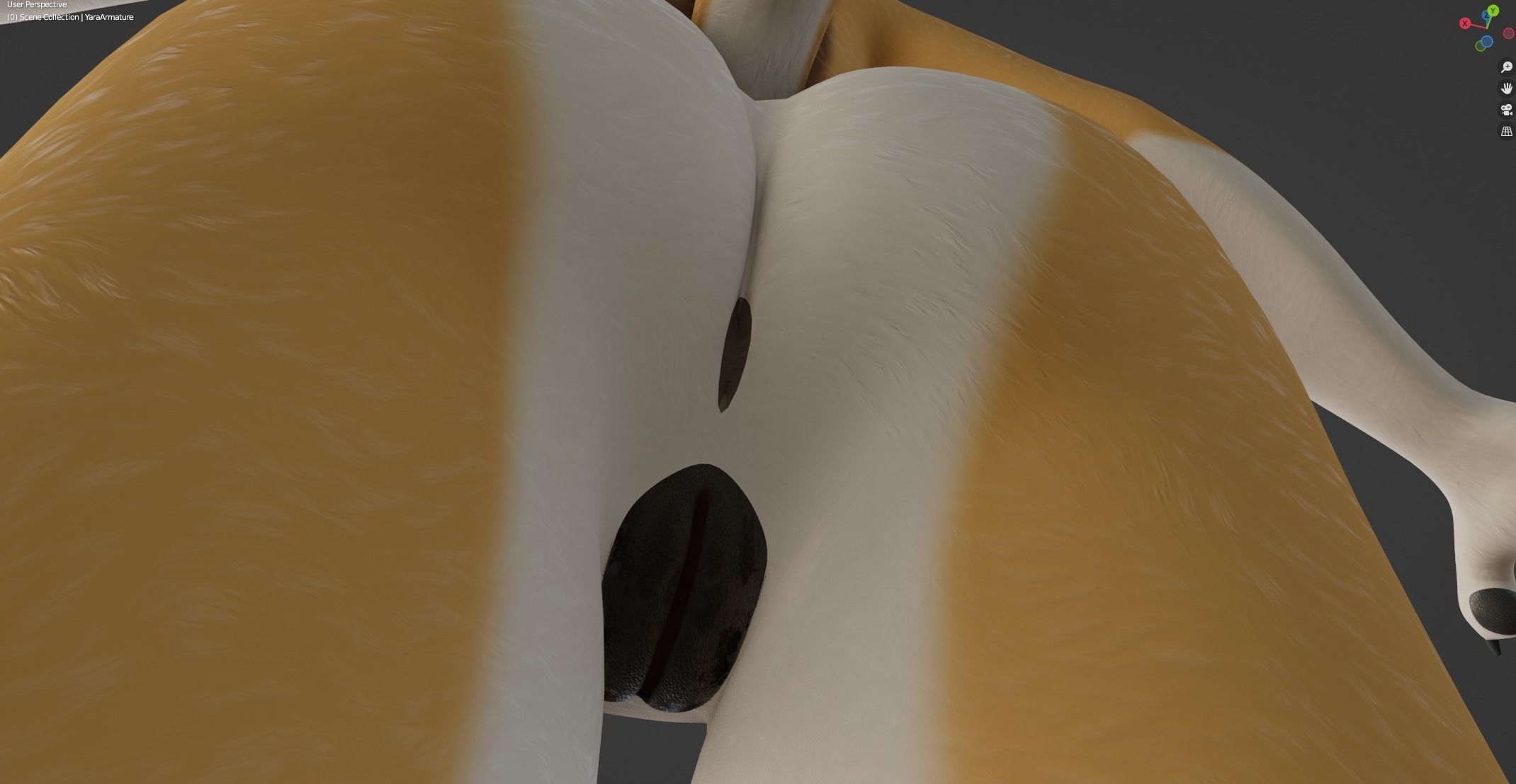 Yara Anthro Fox 3D model_51