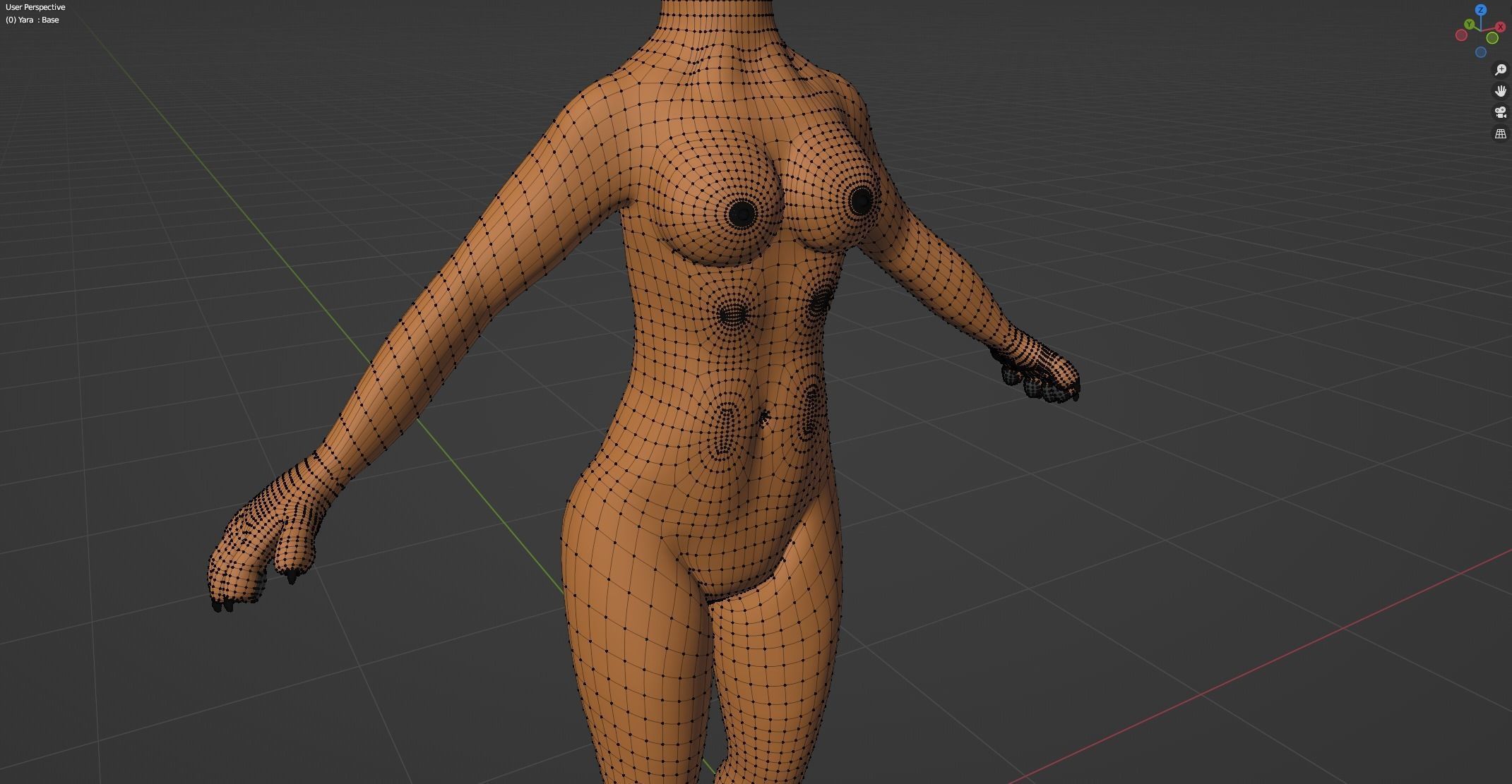 Yara Anthro Fox 3D model_56