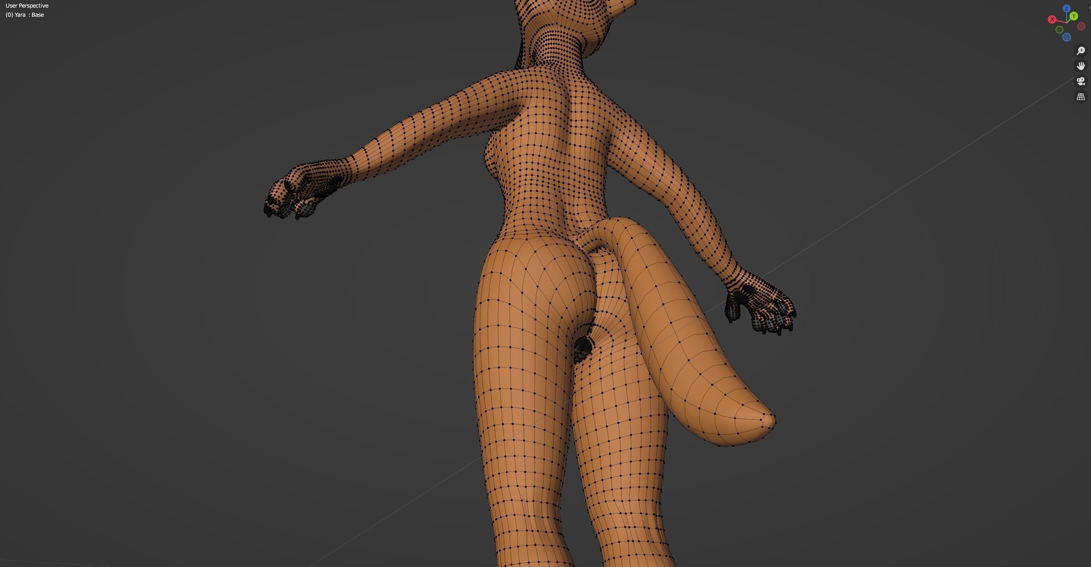 Yara Anthro Fox 3D model_57