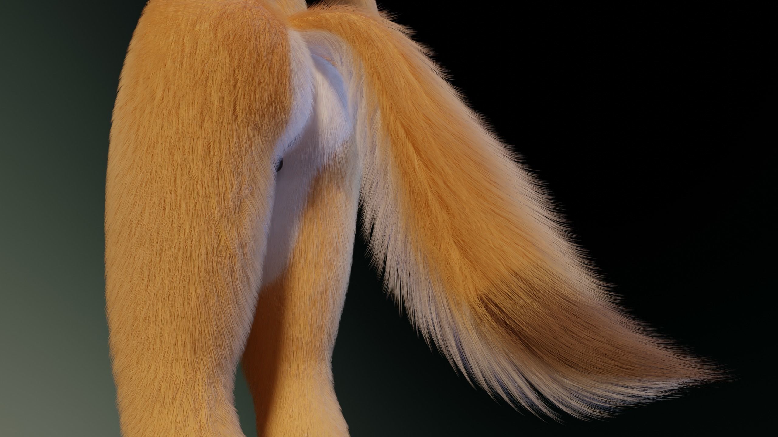 Yara Anthro Fox 3D model_10