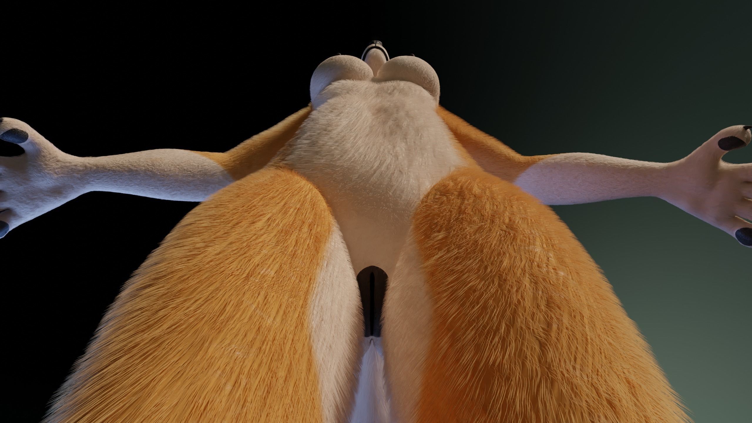 Yara Anthro Fox 3D model_16