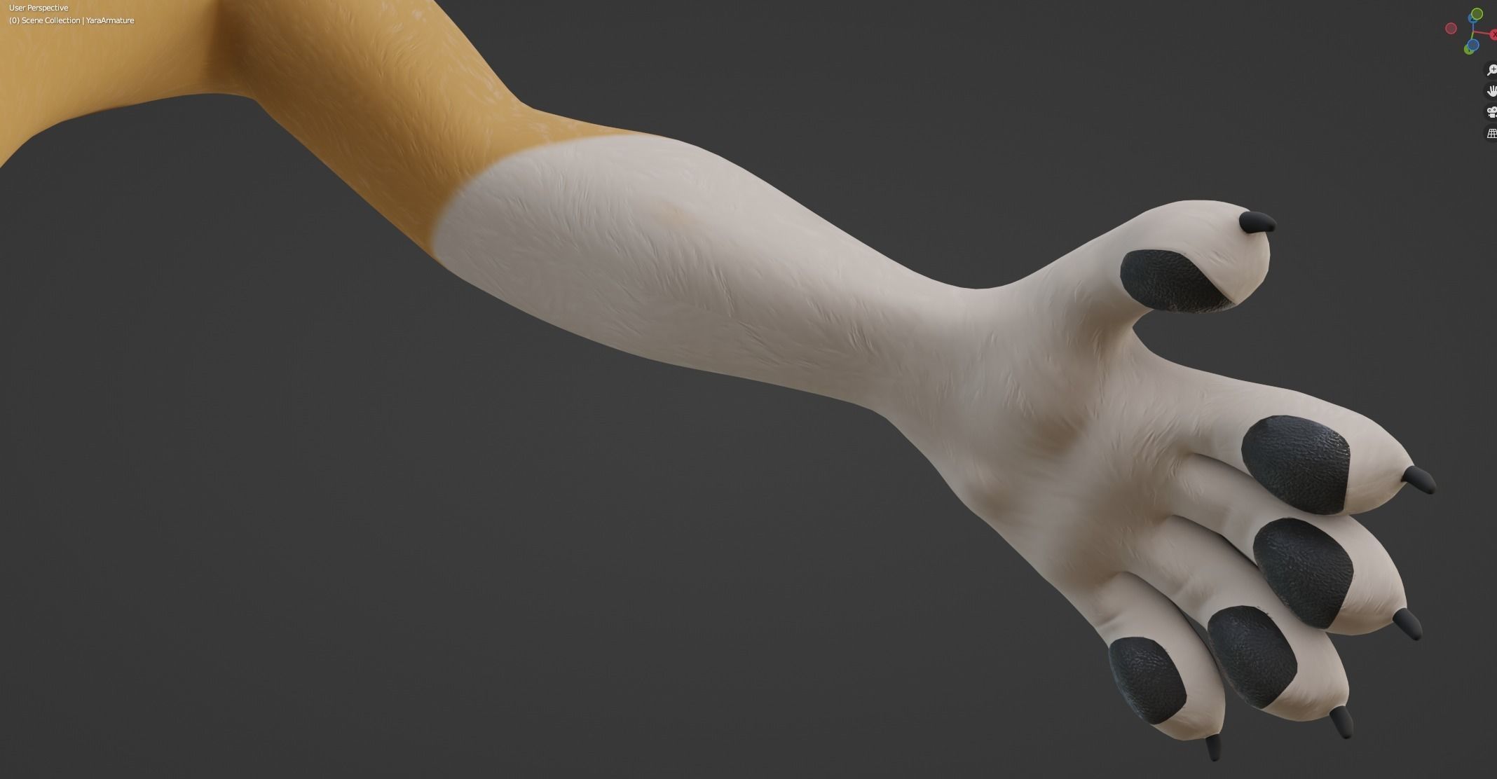 Yara Anthro Fox 3D model_49